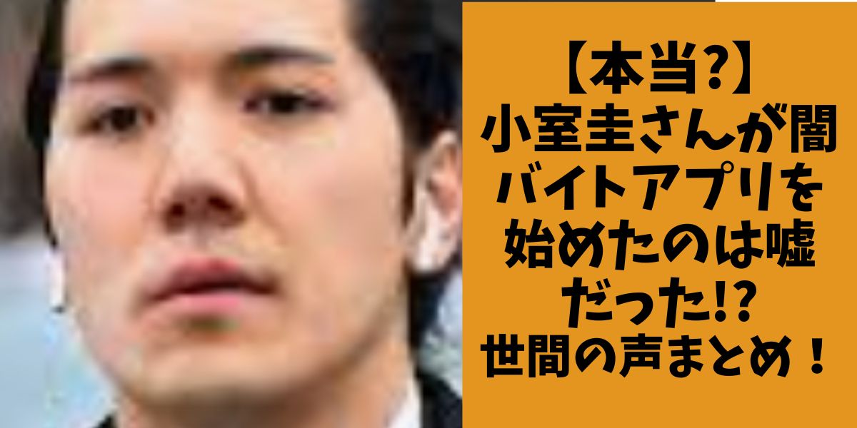 【本当?】小室圭さんが闇バイトアプリは嘘だった!?世間の声まとめ！